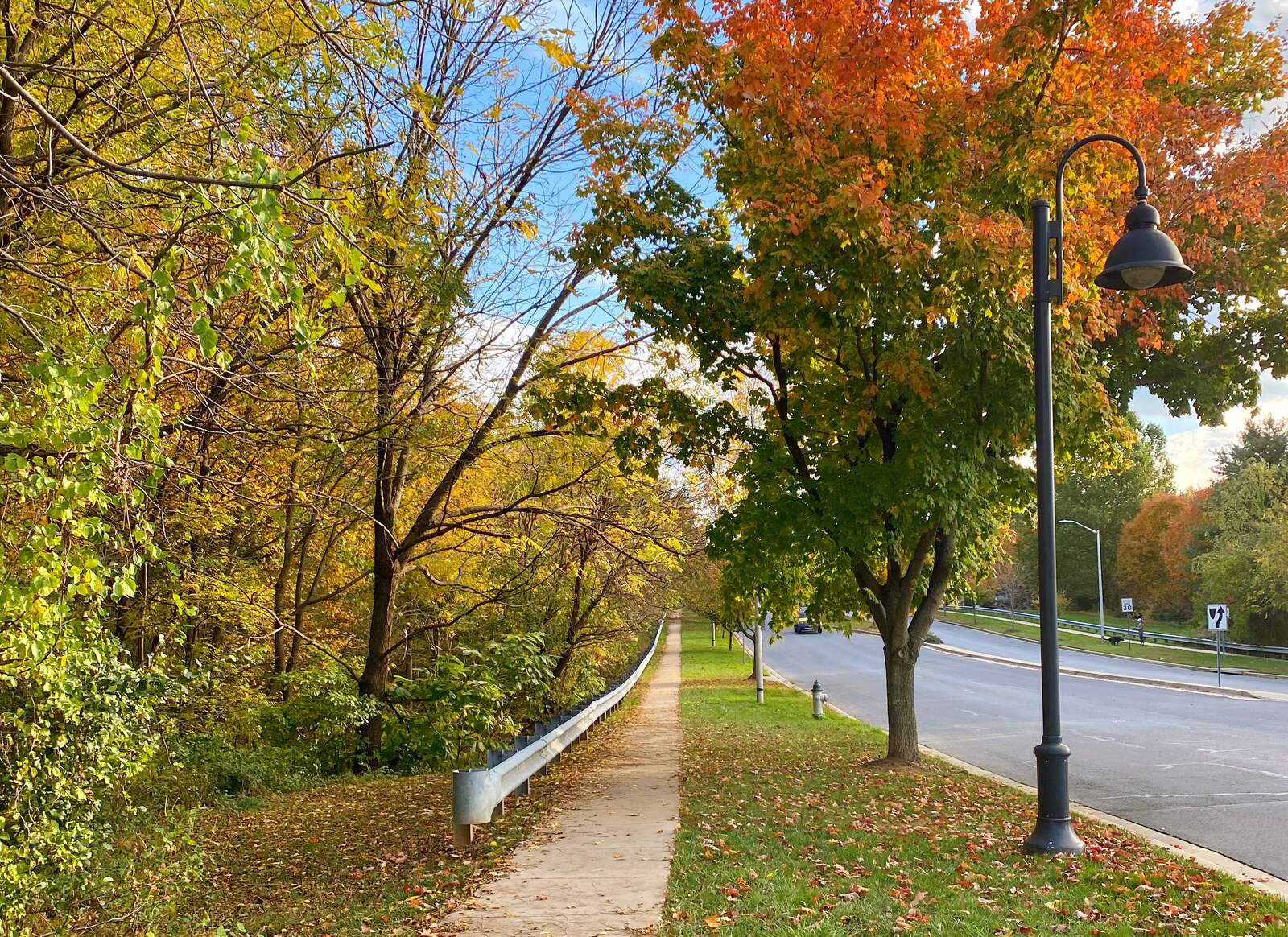 Tree-lined street in Waldorf, MD where mobile auto glass service is available